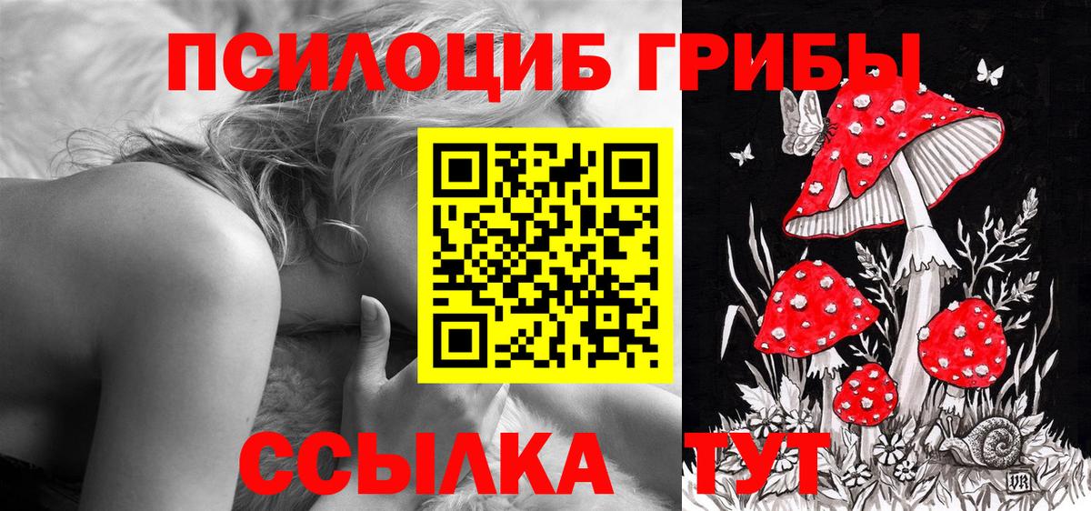Псилоцибиновые грибы ЛСД  Вход с VPN  где купить наркоту  Владикавказ 